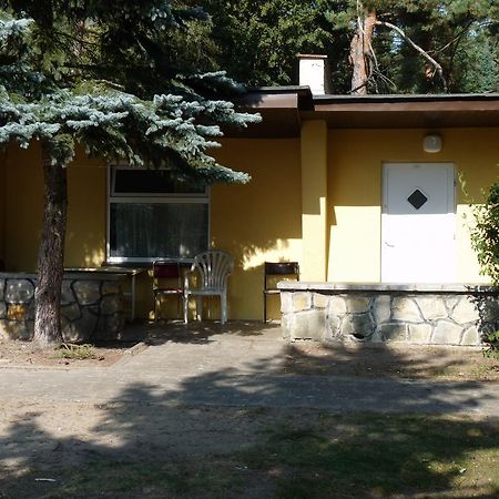 Osrodek Wypoczynkowy Jelonek Hotel Wolsztyn Kültér fotó