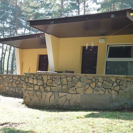 Osrodek Wypoczynkowy Jelonek Hotel Wolsztyn Kültér fotó