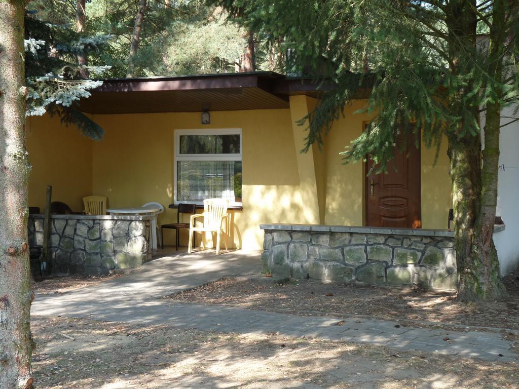 Osrodek Wypoczynkowy Jelonek Hotel Wolsztyn Kültér fotó